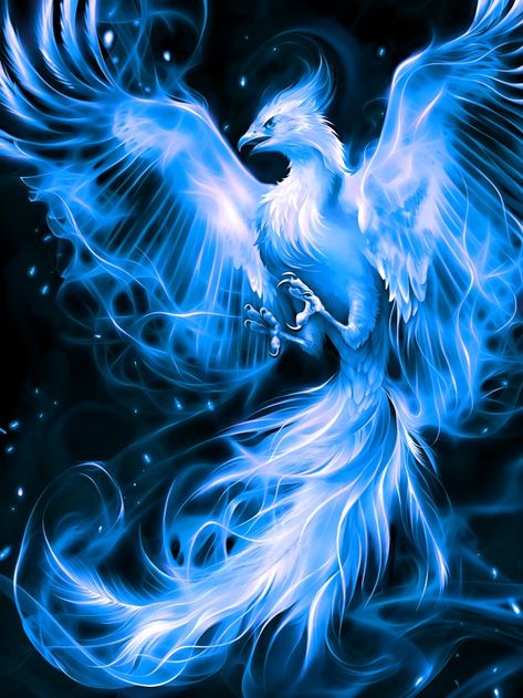 Blue Fire Fantasy Art, Phoenix Patronus Art, Ice Phoenix Bird, Blue Phoenix Tattoo, Blue Phoenix Bird, Phoenix Blue, Phoenix Bird Art, Phoenix Wallpaper, Phoenix Artwork