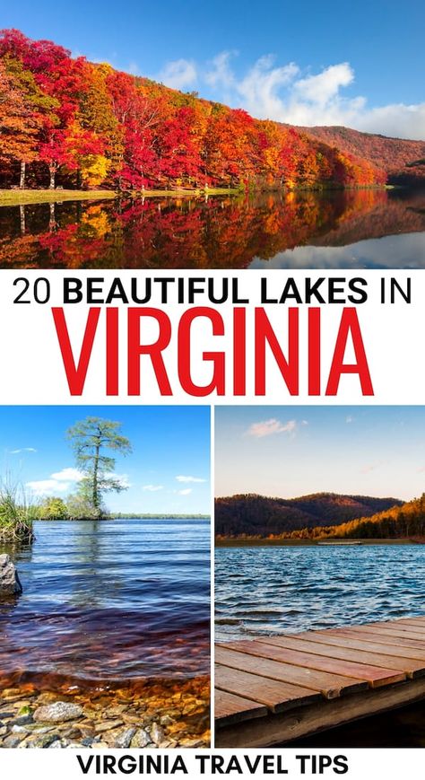 Virginia Nature, Smith Mountain Lake Va, Things To Do In Virginia, Fairfax Virginia, Virginia Mountains, Virginia Vacation, Smith Mountain Lake, Virginia Travel, Relaxing Weekend