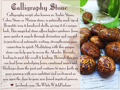 Calligraphy Stone - Arabic Stone - Cobra Stone - Miriam Stone - Hematite stone and fossilized shells give this stone it's very unique look. Crystal Education, Calligraphy Stone, Crystal Tips, The White Witch, Hag Stones, Magical Stones, Crystal Healer, Crystals Healing Properties, Spiritual Symbols