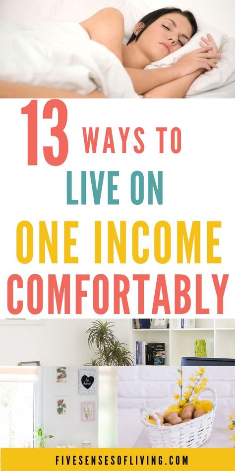 Live On One Income, One Income Family, Saving Plan, Family Money, Best Money Saving Tips, Save Money Fast, Family Finance, Sales Tips, Budget Planer