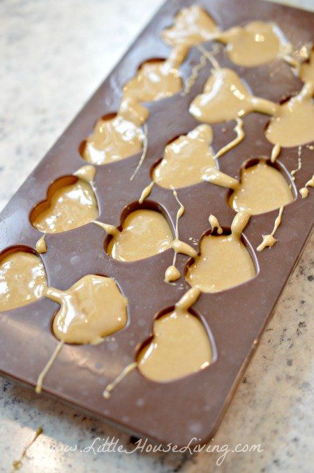 maple6 Maple Syrup Candies, Maple Candy Recipe Easy, Maple Nut Goodies Recipe, Maple Syrup Candy Recipe, Maple Candy Recipe, Maple Fudge Recipes, Tree Tapping, Maple Syrup Candy, Maple Sugar Candy