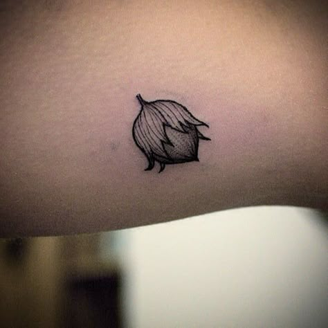 Hazelnut Tattoo, Hazel Tattoo, Magical Tattoos, Adam Tattoo, Chris Tattoo, Tattoo Dublin, Forget Me Not Tattoo, Pine Tattoo, Ram Tattoo