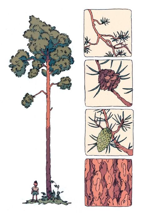 Tree Study, Arte Indie, Graphic Novel Art, Arte Inspo, Tree Illustration, Arte Sketchbook, Tree Drawing, Art And Illustration, Environment Concept Art