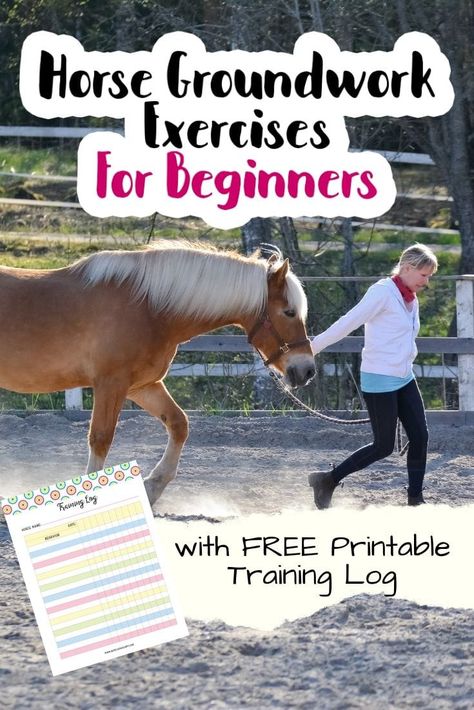 As a beginner, there are few basic groundwork exercises that you should consistently work on until you have mastered them with your horse. These basic exercises will give you a foundation of on the ground skills that will set the stage of respect and understanding between you and your horse.This free printable PDF Horse Training Log will act as a sort of checklist and training record for your horse. See what you have done well and what you need to improve on! Horse Lessons Beginner, How To Train Your Horse, Ground Exercises For Horses, Daily Horse Care Routine, Horse Bonding Exercises, Ground Work For Horses Exercises, Horse Groundwork Exercises, Horse Stretching Exercises, Horse Ownership For Beginners