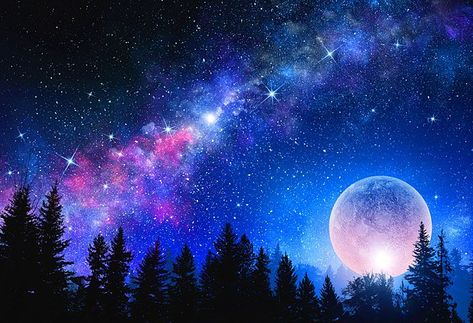 Far away from any city whose light's pollute the night sky, this gorgeous panel features the Moon, the Milky Way, Stars, and the silhouettes of pine trees. The universe is amazing, is it not? Night Starry Sky, Starry Sky, Wall Mural, Full Moon, Night Sky, Canvas Wall, Canvas Wall Art, Mural, Moon