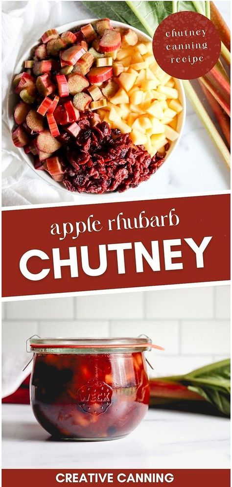 Start your collection of chutney canning recipes with this apple rhubarb chutney recipe. A perfect blend of tangy rhubarb, sweet apples, and tart cranberries, enhanced with warm spices like cinnamon and nutmeg. This chutney is a versatile condiment that will bring zest to pork dishes, charcuterie plates, and more. Ideal for those looking to preserve rhubarb during spring gardening season. Find more canning fruit recipes and preserving fruit in jars tips at creativecanning.com Rhubarb Canning Recipes, Apple Canning Recipes, Fruit In Jars, Apple Canning, Canning Fruit Recipes, Apple Chutney Recipe, Preserving Fruit, Apple Rhubarb, Rhubarb Chutney