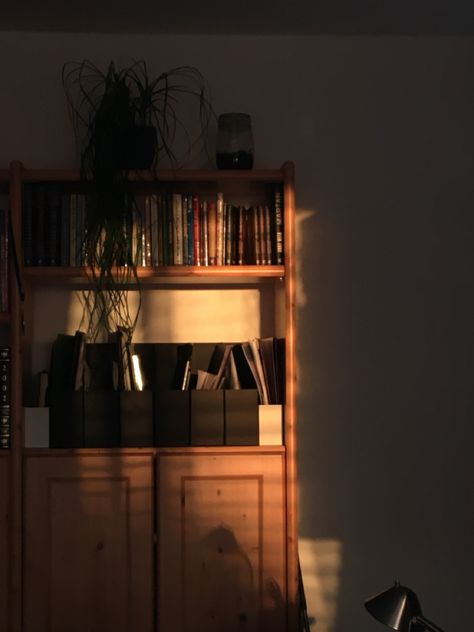 Bookshelf Photography, Everyday Photography, Bookshelf Aesthetic, Sunlight Photography, Product Shoot, Morning Sun, Online Gallery, Color 2, Dark Academia