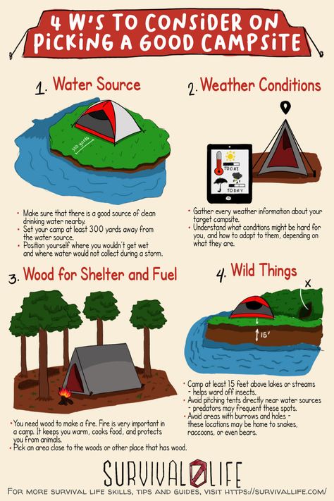 Do you know how to find a good campsite? Get your camping survival skills up by learning these 4Ws! #campsite #campingtips #camping #survivaltips #survival #survivallife Camping Survival Tips, Camping Safety Tips, How To Survive In The Wilderness, Survivor Tips, Kids Survival Skills, Guidebook Design, Nomadic Life, Outdoor Skills, Camping Gear Survival