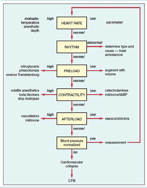 Management of hemodynamics in the postbypass period. Hemodynamics Nursing, Career Building, Cardiac Nurse, Beta Blockers, Nurse Study, Nurse Study Notes, Medical Surgical Nursing, Surgical Nursing, Cardiac Nursing