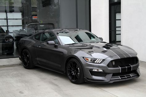 2016 Ford Mustang Shelby GT350 Stock # 6284A for sale near Redondo Beach, CA | CA Ford Dealer Gt350 Shelby, 1973 Mustang, Ford Mustang Shelby Gt, Roadster Car, Shelby Gt350, Shelby Mustang, Ford Mustang Car, Aesthetic Cool, Car Organization