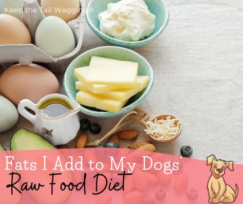 Dog Raw Diet, Raw Dog Food Diet, Tail Wagging, Prepared Food, Raw Diet, Raw Food Diet, Dog Diet, Fatty Fish, Grass Fed Butter