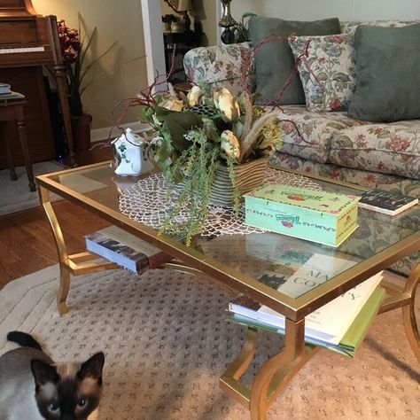 Willa Arlo Interiors Alphonse Coffee Table & Reviews | Wayfair Gold Glass Coffee Table In Living Room, Vintage Glass Coffee Table, Antique Gold Coffee Table, Glass Coffee Table Gold Frame, Uniqu Gold Coffee Tables, Coffee Table Square Gold And Glass, Transitional Gold Oval Glass Coffee Table, Gold Coffee, Gold Coffee Table