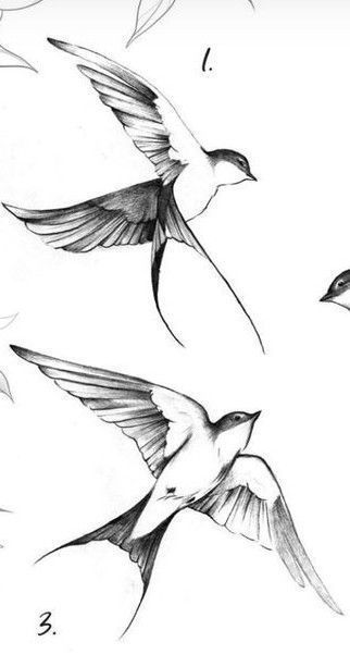 Swallow Bird Tattoo Design, Chinese Bird Tattoo, Realistic Swallow Tattoo Design, Swallow Bird Drawing, Swallow Sketch, Small Realism Tattoo, Sparrow Bird Tattoo, Swallow Drawing, Swallow Bird Tattoo