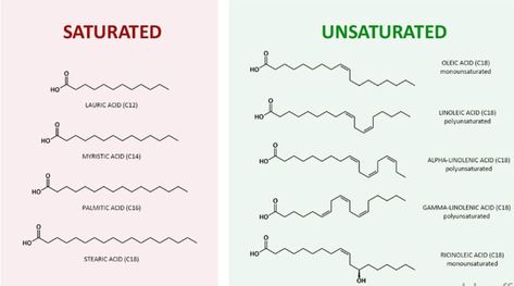 The eight fatty acids that make up our soap molecules include four saturated fatty acids- myristic, lauric, palmitic, and stearic, and four unsaturated fatty acids- ricinoleic, oleic, linoleic, and linolenic. Each fatty acid is saponified and creates a sodium or potassium salt of a fatty acid or a soap. If there are eight fatty acids, this also means that there are eight different soaps. The length of the hydrocarbon chain and the number of double bonds in the carbonylic-acid portion of the fat Chemistry Acids And Bases, Alcohol Chemical Structure, Structure Of Amino Acids, Types Of Solutions Chemistry, Fatty Acids Biochemistry, Fats And Oils, Hot Process Soap, Singular Nouns, Anatomy Physiology