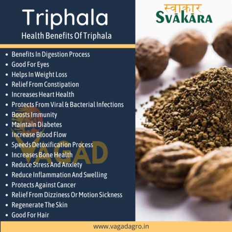 Triphala is an Ayurvedic remedy that has been used for centuries and is believed to have many health benefits. Triphala Benefits, Triphala Powder, Health Ads, Ayurvedic Remedies, Digestion Process, Organic Foods, Being Prepared, Ayurvedic Herbs, Lower Cholesterol