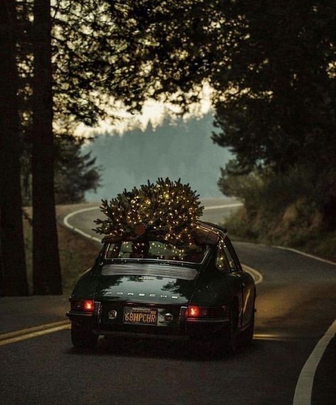 Christmas Tree On Car, Christmas Cars, Driving Home For Christmas, Winter Car, Car Christmas, Christmas Car, Christmas Feeling, Cambridge University, Christmas Inspo