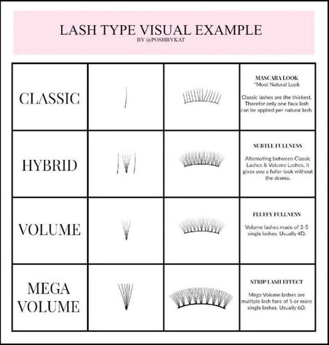 Hybrid Lash Description, Eyelash Extension Curl Chart, Lash Extensions Thickness, Lash Extensions Styles Chart, Eyelash Extension Chart, Lash Tech Policy Template, Lash Manual Ideas, Lash Mapping For Beginners, Eyelash Extensions Chart