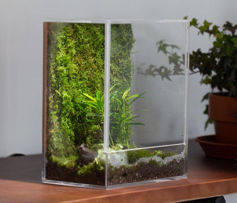 Real Waterfall, Fern Terrarium, Unique Terrarium, Garden Centerpiece, Creative Planter, Mini Terrarium, Planting Pots, Water Grass, Terrarium Containers