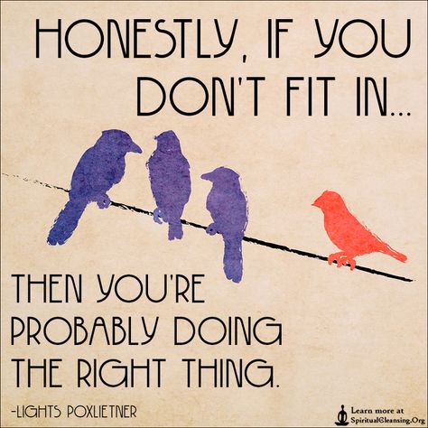 Honestly, if you don’t fit in then you’re probably doing the right thing.—Now go do the right thing. Gossip Quotes, Inspirational Quotes Images, Doing The Right Thing, Love Wisdom, Inspirational Quotes With Images, Quotes Images, Quotable Quotes, Infj, Image Quotes