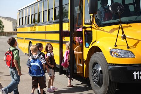 School Bus Safety, Bus Safety, School Safety, Wheels On The Bus, Emergency Plan, Personal Injury Lawyer, Slip And Fall, School System, Bus Driver