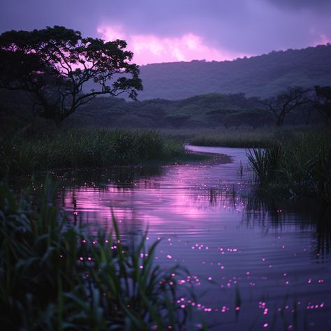 Green And Violet Aesthetic, Purple Forest Aesthetic, Vibe Pics, Aesthetic Laptop, Purple Beach, Violet Aesthetic, Mystical Places, Lavender Aesthetic, Laptop Cover