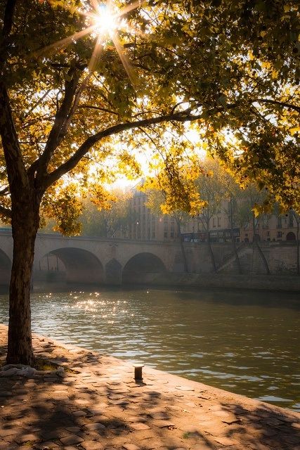 Morning Light, Paris bords de Seine Beautiful Paris, Paris Photo, Alam Yang Indah, Reykjavik, Morning Light, Pretty Places, France Travel, Oh The Places Youll Go, Places Around The World