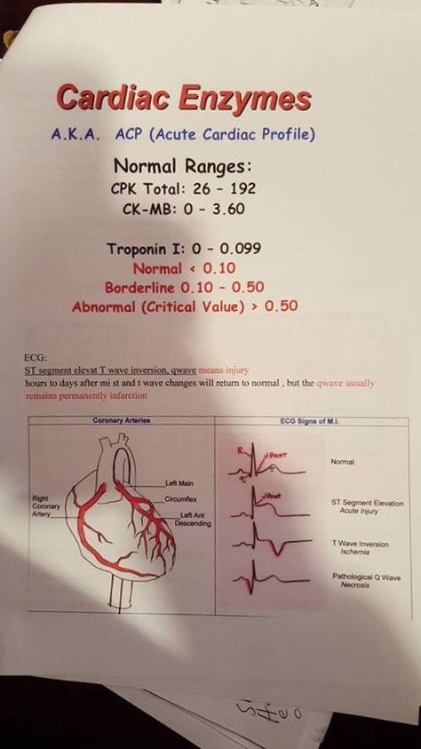 Cardiac Enzymes, Cardiology Nursing, Nursing Mnemonics, Cardiac Nursing, Nursing School Survival, Critical Care Nursing, Nursing School Studying, Nursing School Tips, Medical School Studying