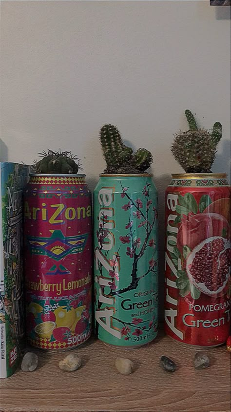 Arizona Iced Tea Can Crafts, Arizona Can Crafts, Arizona Cans Diy, Guy Bedroom Aesthetic, Arizona Tea Can, Arizona Can, Soda Can Crafts, Twisted Tea, Cool Decor