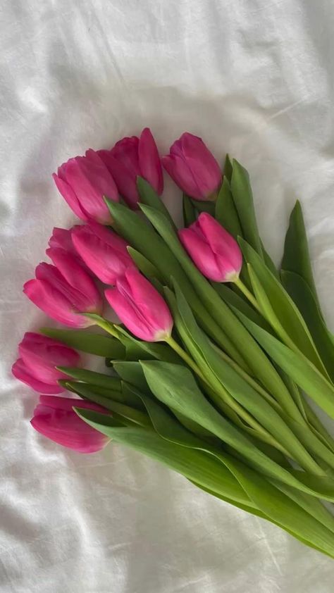 Fall Tulips, Boquette Flowers, Nothing But Flowers, Flower Therapy, Beautiful Bouquet Of Flowers, Red Tulips, Spring Aesthetic, Pretty Stuff, Pink Tulips