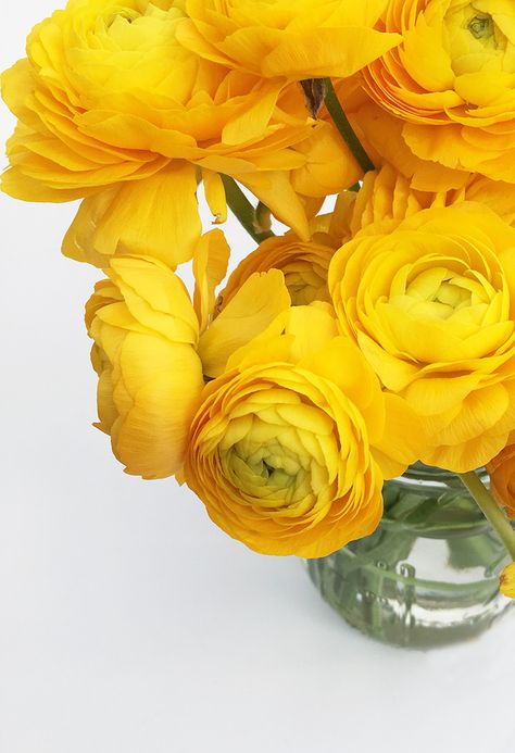 Bridal Arrangement, Flowers Types, Yellow Centerpieces, Yellow Ranunculus, Event Decorating, Mother's Day Cards, Hybrid Tea Roses, Cabbage Roses, Flower Names