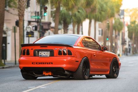 A complete look and overview of a 1998 Ford SVT Cobra Mustang. This hugger orange Mustang is one slick ride! 96 Mustang Gt, 96 Mustang, Car Therapy, Mustang 1995, Cobra Mustang, Sn95 Mustang, New Edge Mustang, Foxbody Mustang, Car Upgrades