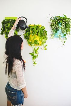 Wall Planter Diy, Diy Wall Planter, Lush Plants, Wall Planters Indoor, Diy Hanging Planter, Planter Diy, Wall Planters, Upcycle Decor, A Beautiful Mess