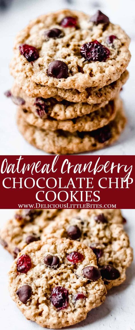 Oatmeal Cranberry Cookies Recipe, Cranberry Chocolate Chip Cookies, Oatmeal Craisin Cookies, Craisin Cookies, Cranberry Cookies Recipes, Cranberry Chocolate, Oatmeal Chocolate Chip Cookie Recipe, Oatmeal Cranberry Cookies, Chocolate Oatmeal Cookies