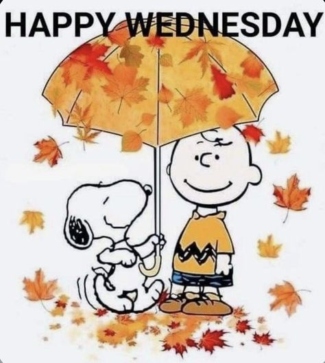 Happy Wednesday! Dress in bright colors today and show off your beautiful self! Wednesday Morning Greetings, Goodnight Snoopy, Snoopy Happy Dance, Wednesday Greetings, Peanuts Wallpaper, Charlie Brown Quotes, Wednesday Dress, Good Morning Snoopy, Snoopy Birthday