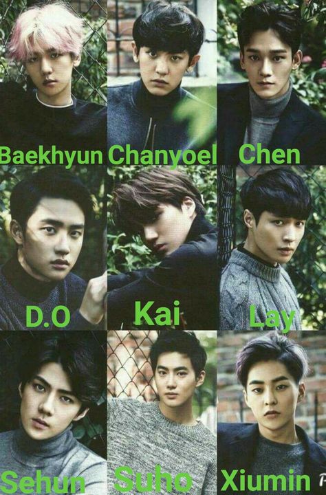 Exo Members with name Shinee Members Names, Exo With Names, Exo Members Names, Exo All Members, Enhypen Members Name, Exo Names, Seventeen Members Names, Korean Boy Names, Exo Group Photo