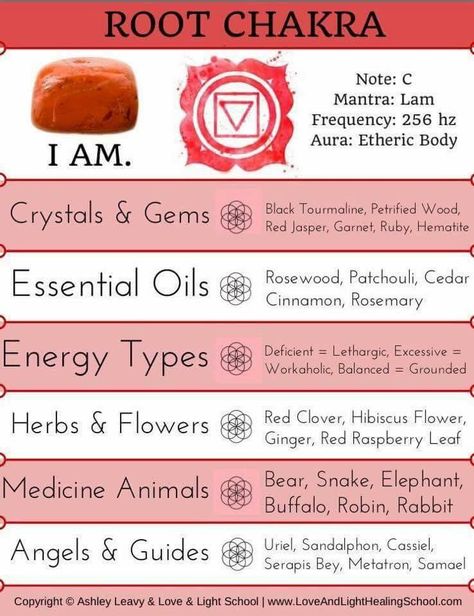 Essential Oils For Chakras, 7 Chakras Meaning, Red Chakra, Crystal Healing Chart, Chakra Health, Root Chakra Healing, Red Raspberry Leaf, Chakra Affirmations, Energy Healing Spirituality