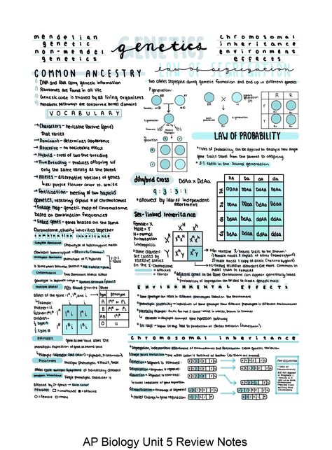 Ace your AP Biology AP Exam with this complete, condensed review of the material covered in Unit 5 of AP Biology! Ap Notes, Ap Exam, Review Notes, Notes Inspo, Ap Exams, College Notes, Ap Biology, Science Notes, Valentine Desserts