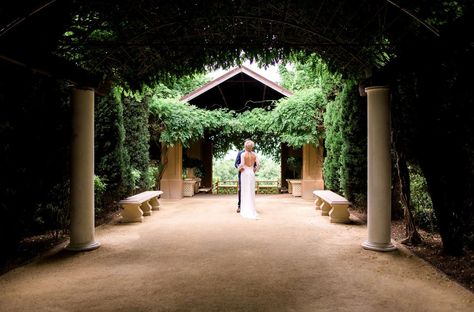 Hunter Valley Gardens | Wedding Venues Pokolbin | Easy Weddings Wedding Packages Prices, Themed Garden, Easy Weddings, Hunter Valley Wedding, Amusement Rides, Garden Wedding Reception, Garden Wedding Venue, Hunter Valley, Breathtaking Wedding