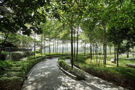 Forest walk on the podium level accompanied by white flowered plants add a sense of tranquillity and mystical mood. Urban Forest Design, Interior Design Sites, Master Planning, Urban Landscape Design, Park Forest, Urban Forest, Areas Verdes, Park Landscape, Landscape And Urbanism