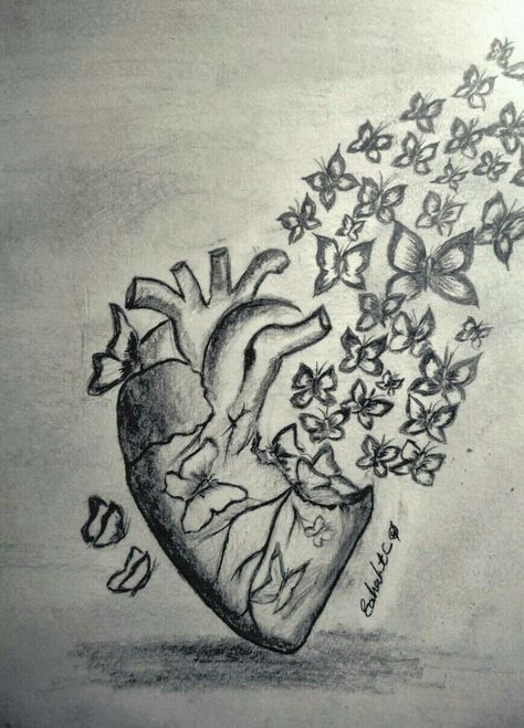 A heart and butterflies drawing Meaningful Drawing Ideas Beautiful, Butterfly Heart Drawing, Creative Heart Drawing, Heart With Butterflies Drawing, Actual Heart Drawing, Butterflies Coming Out Of Head Drawing, Heart Ripped Out Sketch, Heart Pencil Drawing, Lungs Drawing