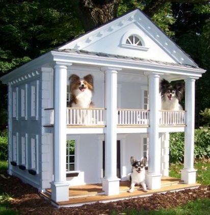 This shall be my dogs!!! Doghouse Ideas, Dog Mansion, Katt Diy, Dog House Plans, Cool Dog Houses, Fuzzy Wuzzy, Dog House Diy, Dog Rooms, Chihuahua Dog