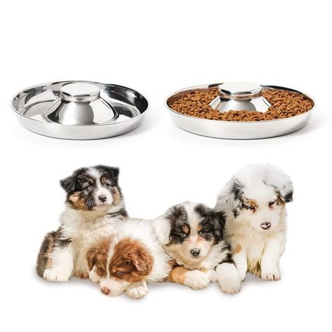 Thankspaw Stainless Steel Puppy Bowls, Set of 2 Puppy Feeder, Dog Food and Water Bowl, Food Feeding Weaning for Small Medium Puppy Food Bowl, Stainless Steel Dog Bowls, Puppy Bowls, Dog Water Bowls, Dog Food Bowls, Bowl Food, Puppy Supplies, Puppy Food, Pet Care Tips