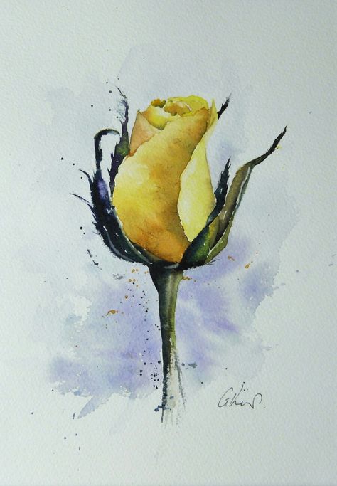 Rose Watercolour, Loose Watercolor Paintings, Soft Pastels Drawing, Isle Of Mull, Easy Flower Painting, Colour Painting, Diy Watercolor Painting, Watercolor Projects, Loose Watercolor