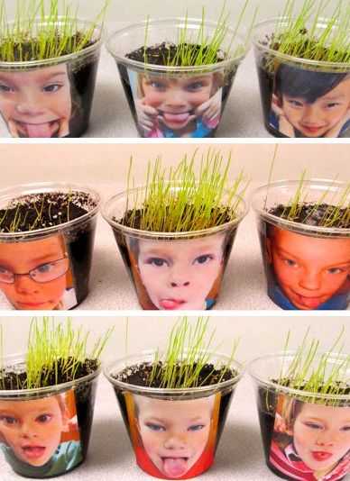 Growing Hair! Too funny!- What a fun project! Loved it when my child brought this home from school! We kept it for months!! Spring Garden Activities For Preschool, Vetenskapliga Experiment, Kindergarten Rocks, Growing Hair, Spring Preschool, Baked Spaghetti, Kindergarten Science, Preschool Science, Grass Seed