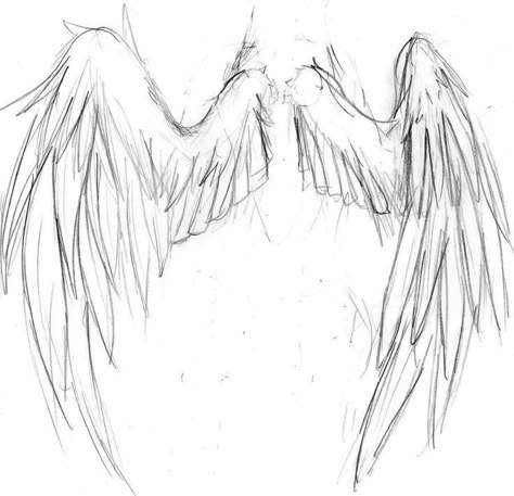 Wings Drawing, Seni Dan Kraf, Wings Art, 캐릭터 드로잉, Easy Drawings Sketches, Art Tutorials Drawing, Art Drawings Sketches Simple, Drawing Stuff, Sketchbook Art Inspiration