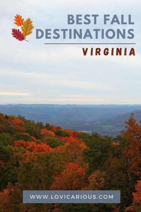 Here are all the best spots in Virginia for experiencing the changing colors this fall. Fall Foilage, Kids Falling, Virginia Fall, Virginia Mountains, Los Angeles Parks, Fall Vacations, Fall Getaways, California National Parks, Chicago Illinois