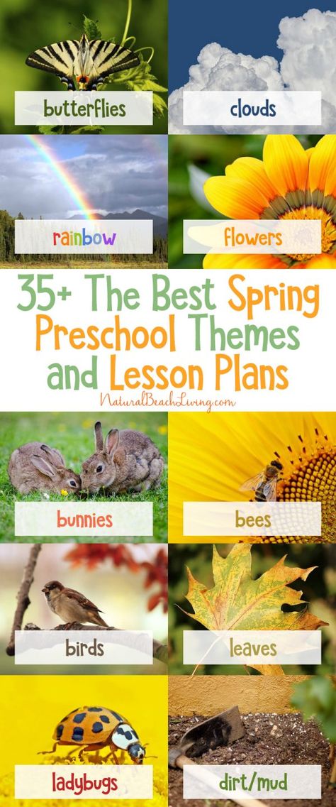 The Best Spring Preschool Themes and Lesson Plans, Free Printable, Life cycles, Flower activities, Farm, Preschool books, Pond Theme, Animal habitats #preschool #preschoolactivities #spring #springpreschool Preschool Lesson Plans Themes, Spring Lesson Plans, Spring Theme Preschool, Animal Crafts Preschool, Spring Preschool Activities, Cycle For Kids, Spring Lessons, Preschool Spring, Summer Preschool