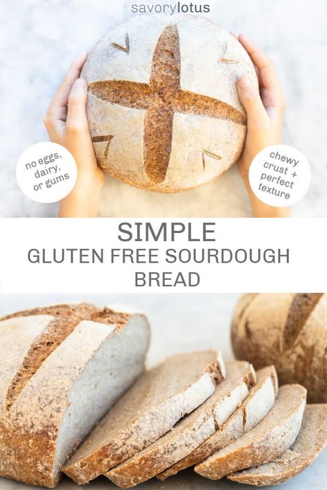 Gluten Free Sourdough Bread Recipe, Sourdough Sandwich Bread Recipe, Gluten Free Sourdough Starter, Sourdough Sandwich Bread, Gluten Free Sourdough Bread, Gluten Free Sandwich Bread, Sandwich Bread Recipe, Gluten Free Sandwiches, Sourdough Bread Sandwiches