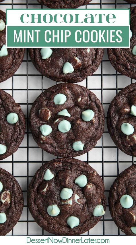 Chocolate Cookies With Mint Chips, Andes Mint Christmas Cookies, Mint Cookie Recipes, Mint Christmas Cookies, Mint Chip Desserts, Chocolate Mint Chip Cookies, Mint Chocolate Chip Cookie Recipe, Mint Macarons, Mint Chocolate Cookies