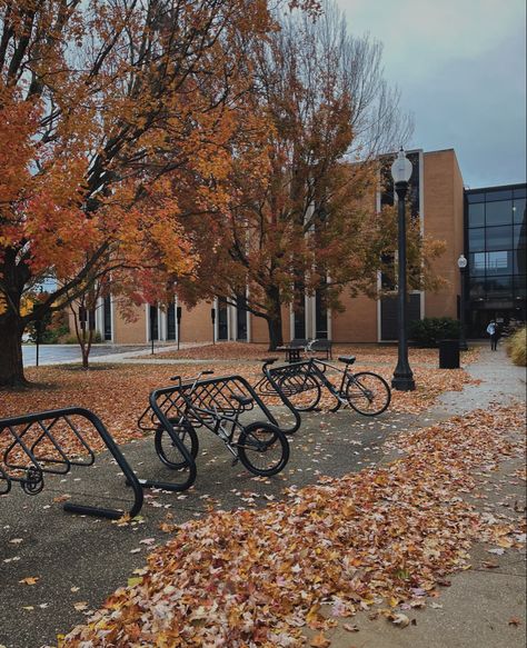 kent state, fall, leaves, autumn, red, brown, yellow, bikes, school, outside, outdoor, university in the fall, crunch, leaf Kent State University Aesthetic, School Outside, University Aesthetic, Kent State University, Kent State, Leaves Autumn, 2025 Vision, Fall Aesthetic, Fall Leaves